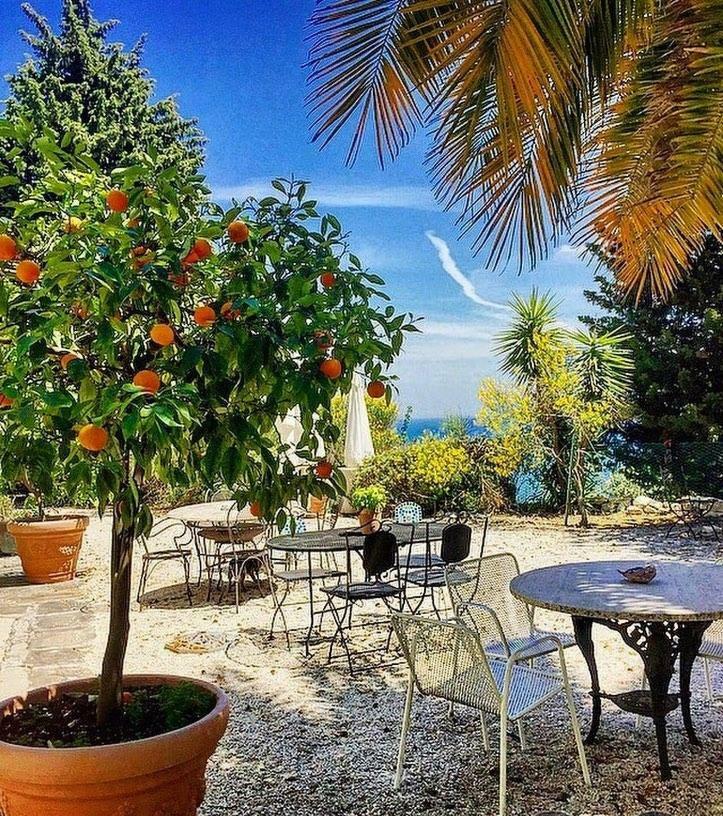 Le Due Palme Bed & Breakfast Sirolo Exterior photo