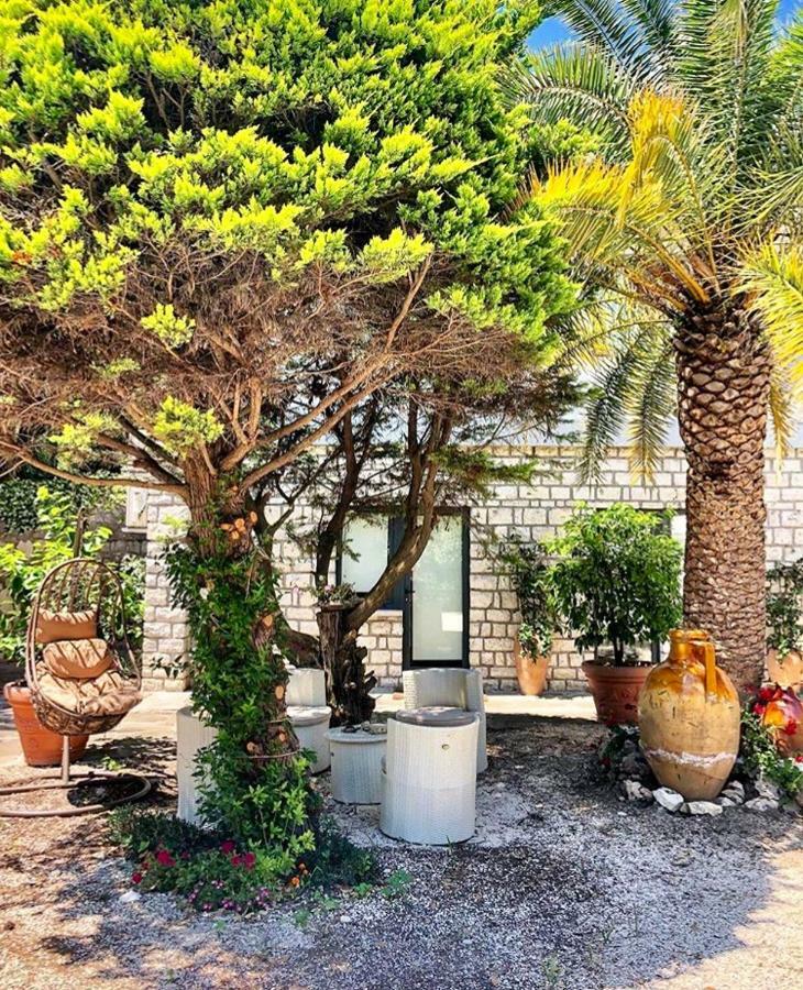 Le Due Palme Bed & Breakfast Sirolo Exterior photo